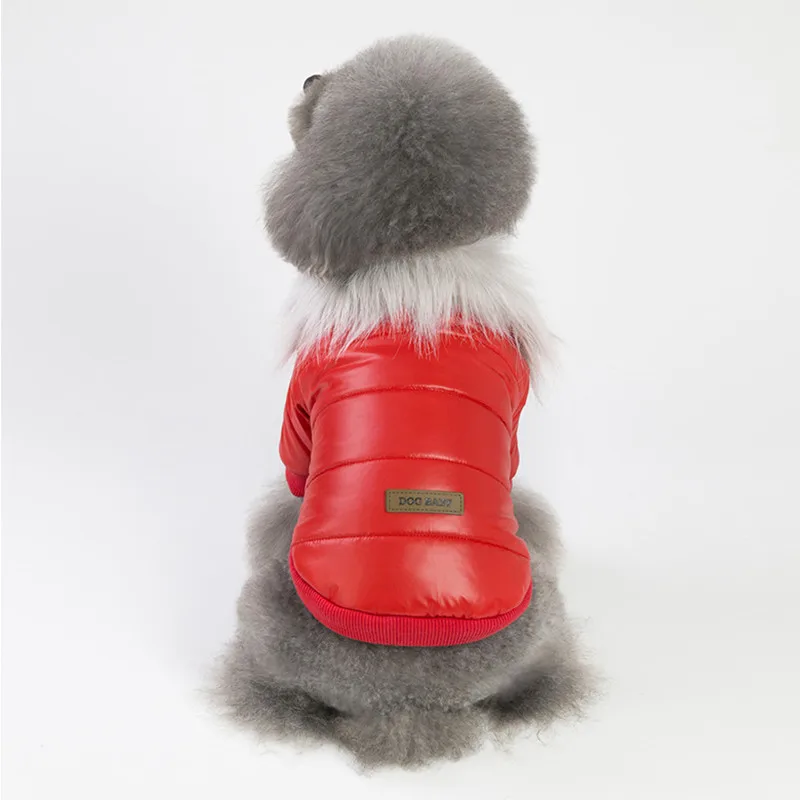 10PC/Lot Winter Pet Dog Clothes Super Warm Down Jacket For Small Dogs Coat Puppy Clothes
10PC/Lot Winter Pet Dog Clothes Super Warm Down Jacket For Small Dogs Coat Puppy Clothes