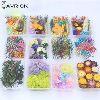 Real Pressed Flower Leaf Dried Hydrangea Moss Resin Flower Dry Beauty Nail Art Decals Epoxy Mold Fillings Jewelry Making 
Real Pressed Flower Leaf Dried Hydrangea Moss Resin Flower Dry Beauty Nail Art Decals Epoxy Mold Fillings Jewelry Making