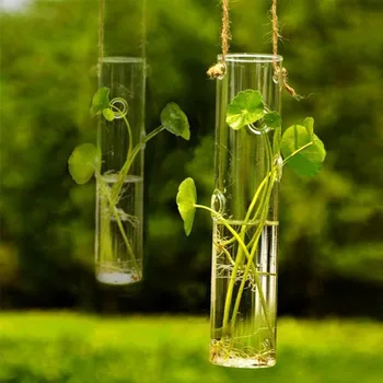 Free Shipping 2pcs/pack 5.8*24cm Tube Shape Glass Terrarium Vase Home Wedding Decoration Transparent Hanging Glass Vase
Free Shipping 2pcs/pack 5.8*24cm Tube Shape Glass Terrarium Vase Home Wedding Decoration Transparent Hanging Glass Vase
