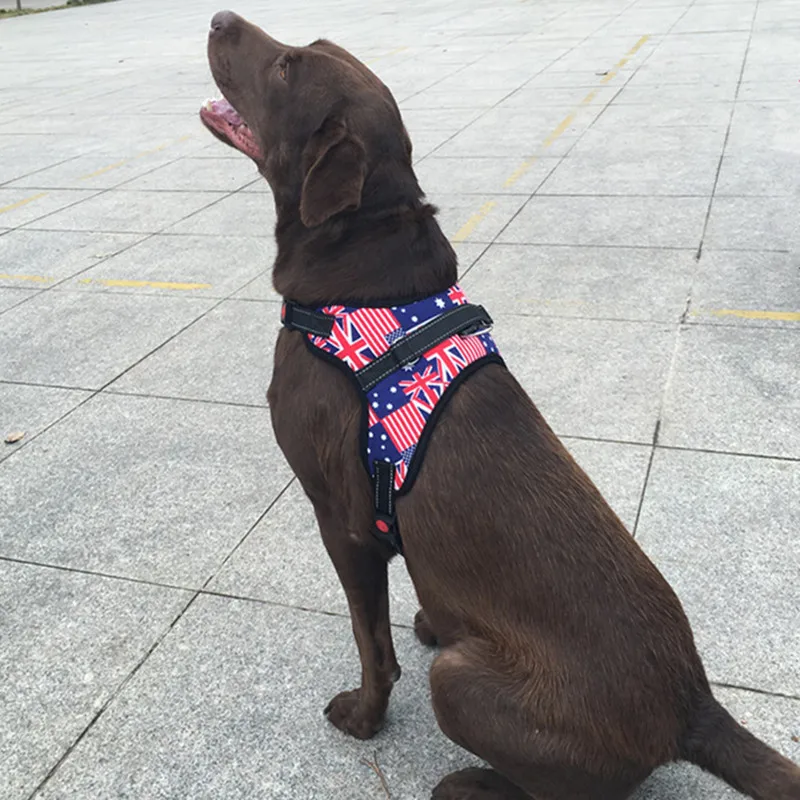 Dog Large Chest Large Suspender Strap Dogs Hand Holding Rope Small Medium-Back Teddy Golden Retriever Labrador Neck Ring
Dog Large Chest Large Suspender Strap Dogs Hand Holding Rope Small Medium-Back Teddy Golden Retriever Labrador Neck Ring