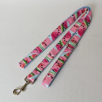 Dog leash Personalized Customized Printed Pet Collar Free Engraved Puppy ID Name leash for Small dog Medium dog Large Dog
Dog leash Personalized Customized Printed Pet Collar Free Engraved Puppy ID Name leash for Small dog Medium dog Large Dog