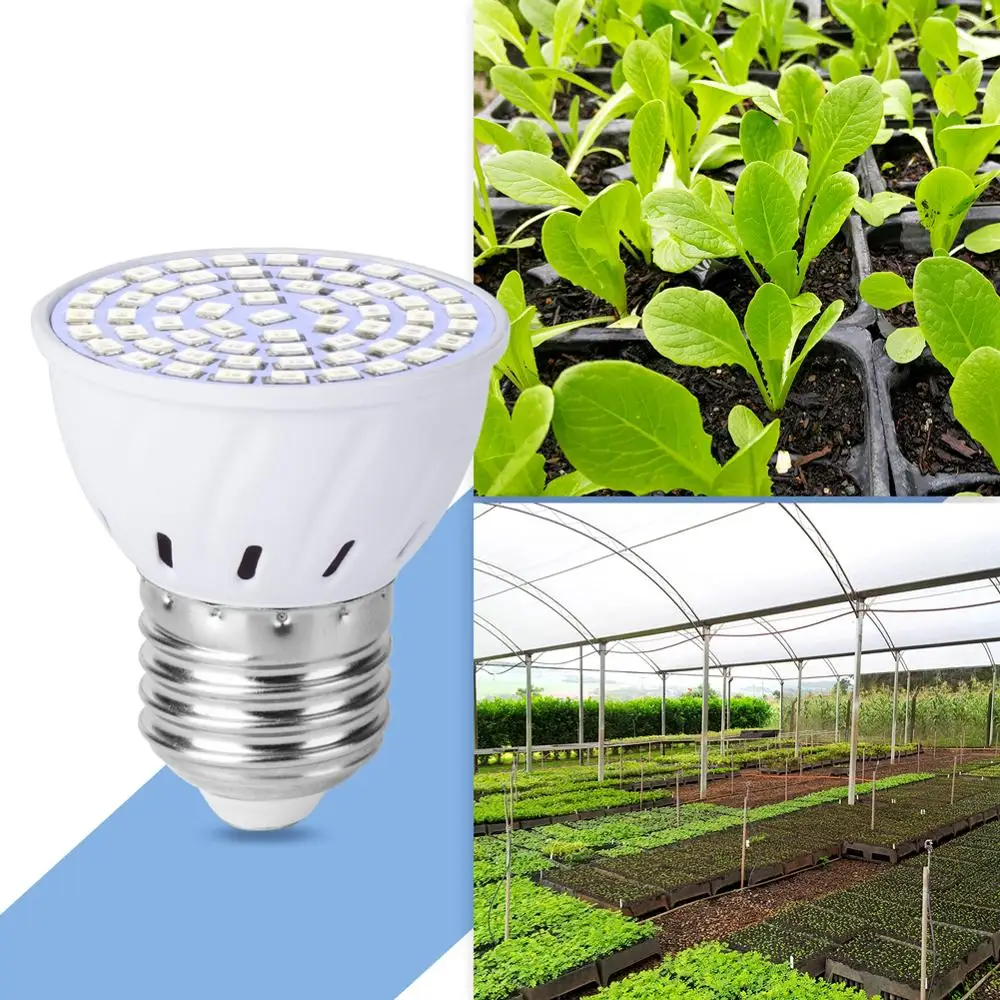 E14 Led Full Spectrum Grow Plant Light E27 Room Growing Bulb 3W 5W 7W 15W 20W MR16 Phyto Lamp B22 Led Indoor Seedling Light GU10
E14 Led Full Spectrum Grow Plant Light E27 Room Growing Bulb 3W 5W 7W 15W 20W MR16 Phyto Lamp B22 Led Indoor Seedling Light GU10