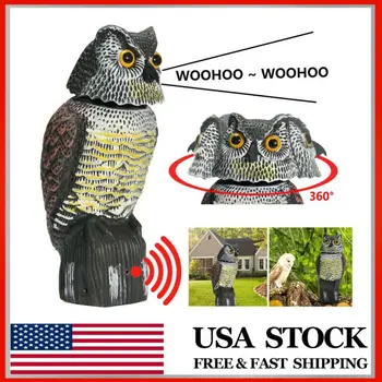 Realistic Bird Scarer Rotating Head Sound Owl Prowler Decoy Protection Repellent Pest Control Scarecrow Garden Yard Move
Realistic Bird Scarer Rotating Head Sound Owl Prowler Decoy Protection Repellent Pest Control Scarecrow Garden Yard Move