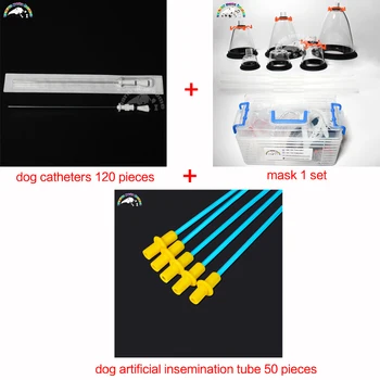 Cat Catheters with Stylet and Animal Anesthesia Mask Dog artificial insemination tube ship to Peru by FEDEX
Cat Catheters with Stylet and Animal Anesthesia Mask Dog artificial insemination tube ship to Peru by FEDEX