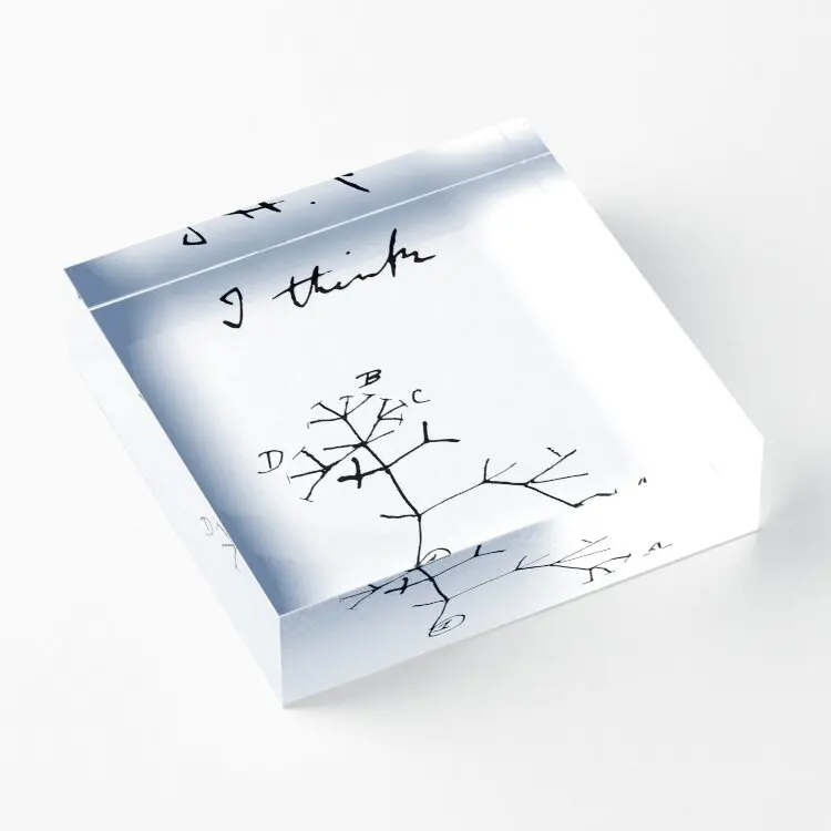 Darwin Tree Of Life I Think Acrylic Block Fashionable Art Decor Wedding Process Transparent Room Board Family Cute Photos
Darwin Tree Of Life I Think Acrylic Block Fashionable Art Decor Wedding Process Transparent Room Board Family Cute Photos