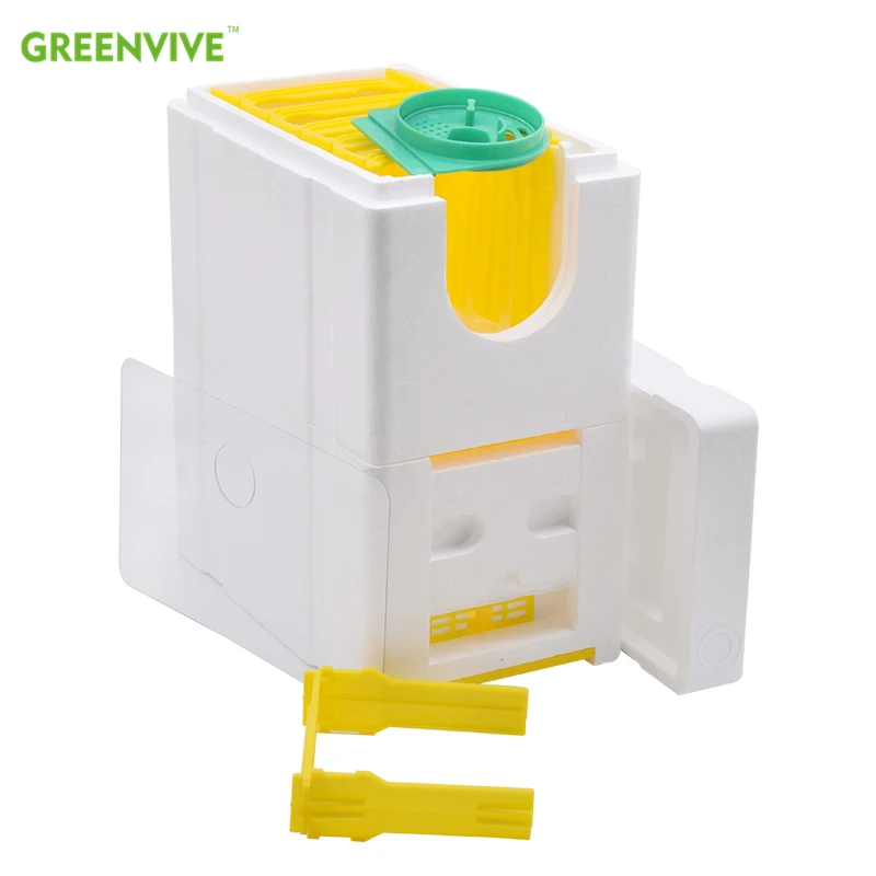 Mini Polystyrene Double Mating Nuc Bee Box for Beekeeping Queen Breeding Queen Rearing
Mini Polystyrene Double Mating Nuc Bee Box for Beekeeping Queen Breeding Queen Rearing