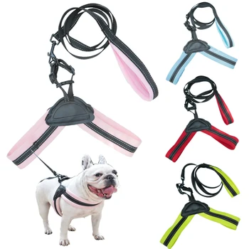 Dog Harness And Leash Set Puppy Breathable Reflective Adjustable Harness For Small Medium Large Dogs French Bulldog Chihuahua
Dog Harness And Leash Set Puppy Breathable Reflective Adjustable Harness For Small Medium Large Dogs French Bulldog Chihuahua
