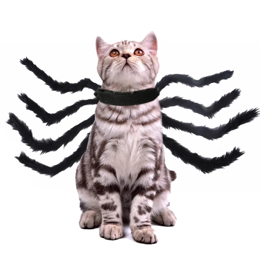2020 Funny Cute Pet Cat Costume Spider chest back For Cat Dog Halloween Christmas Clothes Fancy Dress Pet Clothes (8)