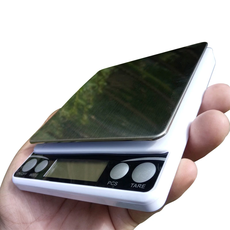 M38031L