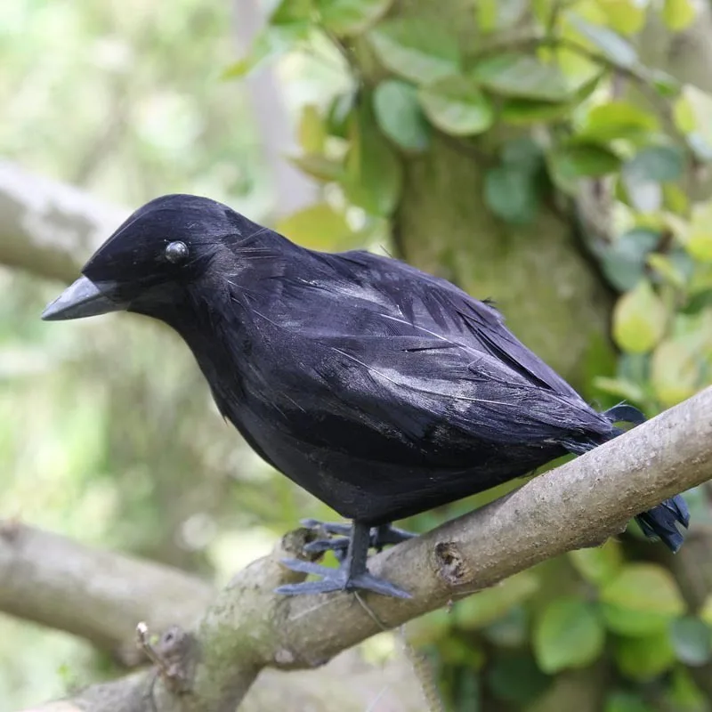 Raven Feather Artificial Halloween Party Decoration Halloween Exquisite High Imitation Fake Crow High Simulation Animal Model
Raven Feather Artificial Halloween Party Decoration Halloween Exquisite High Imitation Fake Crow High Simulation Animal Model