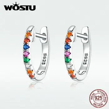 WOSTU 100% Real 925 Sterling Silver Colorful Zircon Earrings For Women Jewelry Making Colorful Life Earring Jewelry DXE721 
WOSTU 100% Real 925 Sterling Silver Colorful Zircon Earrings For Women Jewelry Making Colorful Life Earring Jewelry DXE721