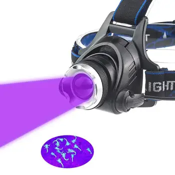 UV LED Purple Headlamp Rotating Zoom Headlight Torch Rechargeable Head Catching Scorption Torch
UV LED Purple Headlamp Rotating Zoom Headlight Torch Rechargeable Head Catching Scorption Torch