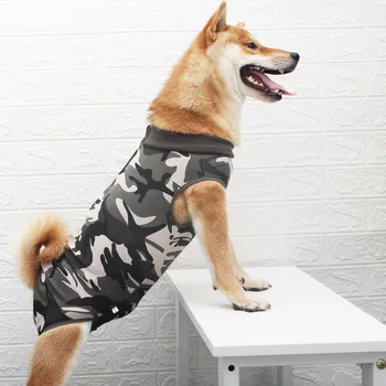 Dog Surgical Recovery Suit Comfortable E Collar Alternative Pet T-Shirt After Surgery Wear for Dogs
Dog Surgical Recovery Suit Comfortable E Collar Alternative Pet T-Shirt After Surgery Wear for Dogs