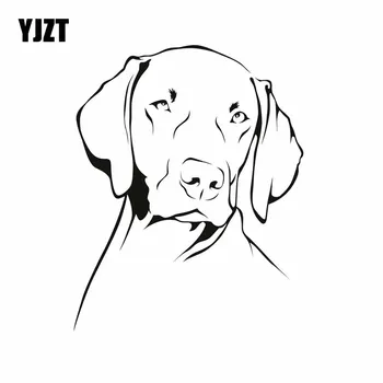 YJZT 13X16.2CM Weimaraner Dog Animals Pets Vinyl Decal Car Sticker Cartoon Black/Silver C24-1119
YJZT 13X16.2CM Weimaraner Dog Animals Pets Vinyl Decal Car Sticker Cartoon Black/Silver C24-1119