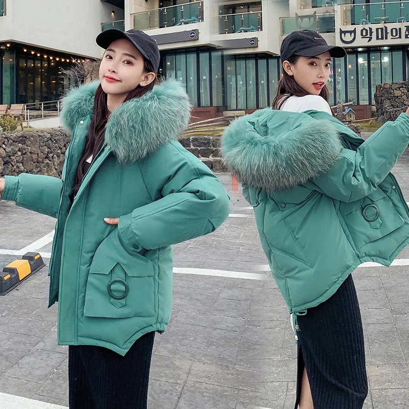 2019 Winter New Style Cotton Coat Women's Korean-style Contrast Color Large Fur Collar Loose-Fit Casual down Cotton Large Pocket
2019 Winter New Style Cotton Coat Women's Korean-style Contrast Color Large Fur Collar Loose-Fit Casual down Cotton Large Pocket