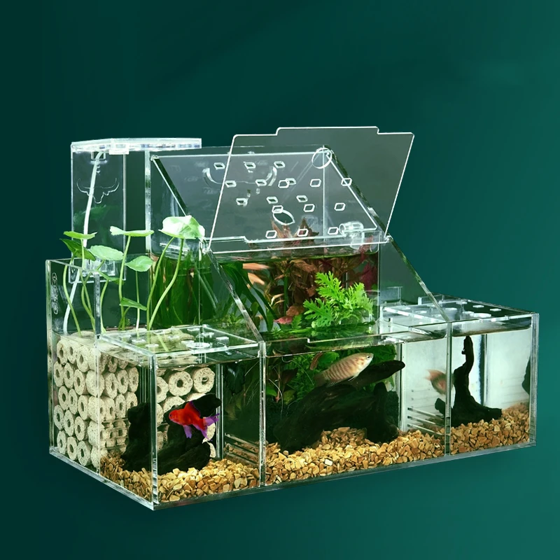 Large Size Ecological Fish Tank Small Fish Isolation Box Circulating Water Filter Fish Tank Creative Desktop Acrylic Aquarium
Large Size Ecological Fish Tank Small Fish Isolation Box Circulating Water Filter Fish Tank Creative Desktop Acrylic Aquarium