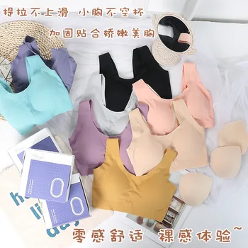 Hot Selling on Behalf of New Style without Steel Ring Push up Breast Hugging Latex Underwear Viscose Seemless Bra Women without
Hot Selling on Behalf of New Style without Steel Ring Push up Breast Hugging Latex Underwear Viscose Seemless Bra Women without