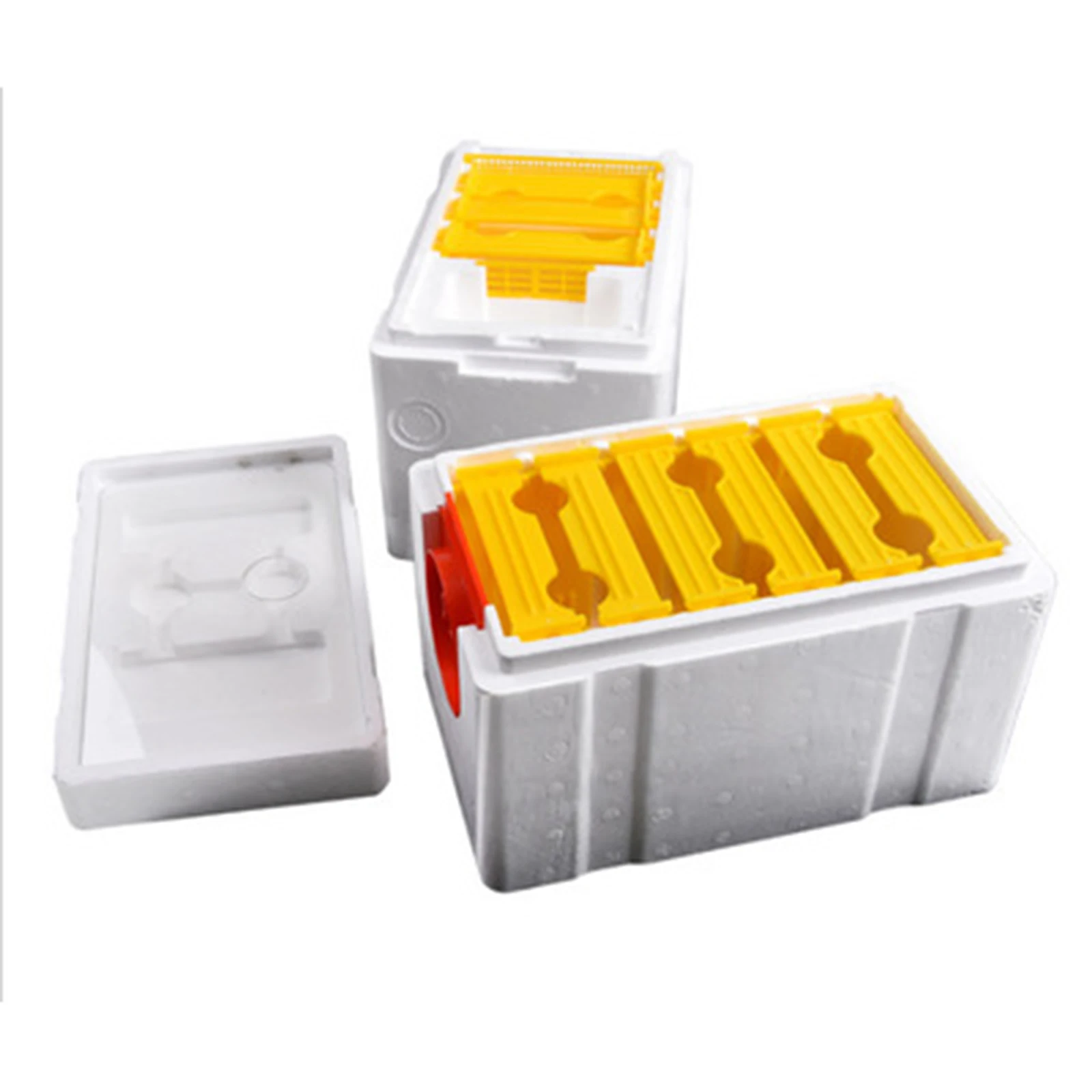 Bee Hive Beekeeping King Box Pollination Box Foam Frames Beekeeping Tool Kit Harvest Bee Hive Home Hive Case Beekeeper tools
Bee Hive Beekeeping King Box Pollination Box Foam Frames Beekeeping Tool Kit Harvest Bee Hive Home Hive Case Beekeeper tools