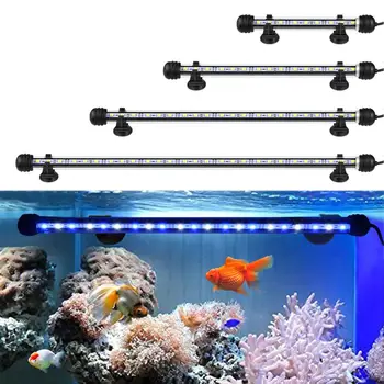 Aquarium LED Light Waterproof Fish Tank Light With Button Switch LED Aquarium Lamp Lighting 220V EU Adapter 19/29/39/49CM
Aquarium LED Light Waterproof Fish Tank Light With Button Switch LED Aquarium Lamp Lighting 220V EU Adapter 19/29/39/49CM