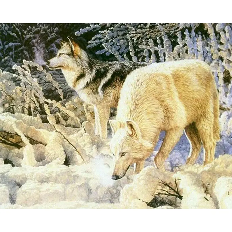 GATYZTORY Frame Wolf Picture DIY Painting By Numbers HandPainted Oil Painting Drawing On Canvas Home Decoration
GATYZTORY Frame Wolf Picture DIY Painting By Numbers HandPainted Oil Painting Drawing On Canvas Home Decoration