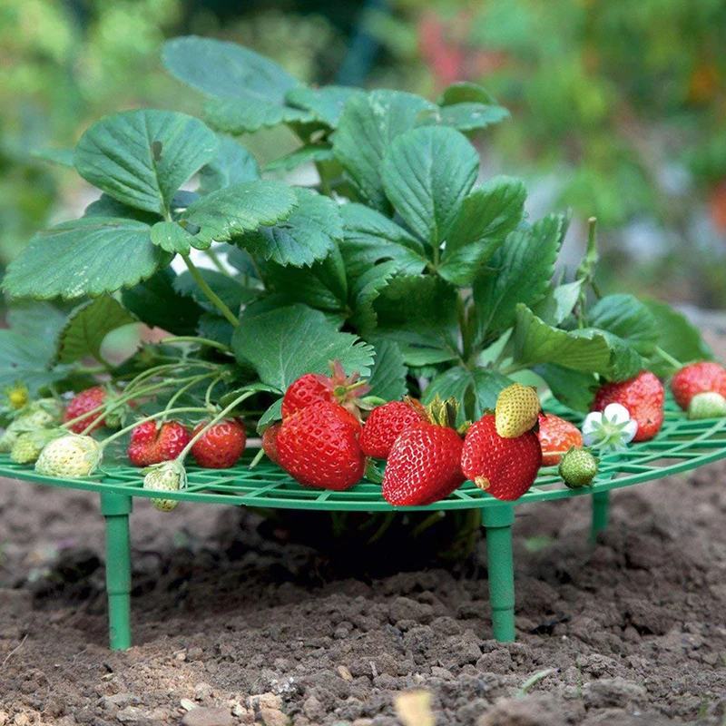 

Круглая пластиковая подставка для клубники на балкон, подставка для овощей и фруктов, инструмент для домашнего садоводства «сделай сам», столб для растений, цветов, подъема, виноградной лозы