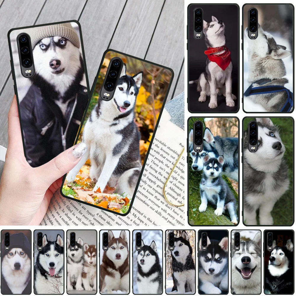 Animal Wolf Husky Dog Customer Phone Case Phone Case for Huawei P9 10 lite P20 pro lite P30 pro lite Psmart mate 20 pro lite
Animal Wolf Husky Dog Customer Phone Case Phone Case for Huawei P9 10 lite P20 pro lite P30 pro lite Psmart mate 20 pro lite