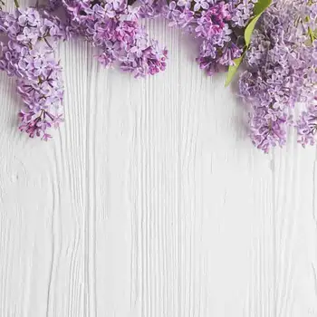 SHUOZHIKE Vinyl Custom Photography Backdrops Prop Flower Wood Planks Christmas Theme Photo Studio Background 191025-01
SHUOZHIKE Vinyl Custom Photography Backdrops Prop Flower Wood Planks Christmas Theme Photo Studio Background 191025-01