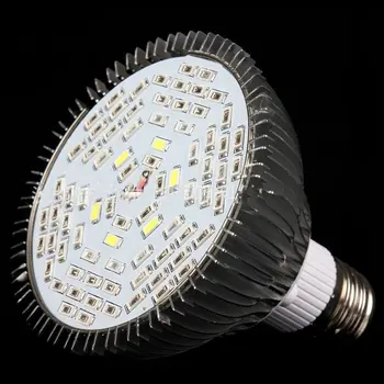Full Spectrum Grow Light Switch LED Plant Growth Light for Plant Flower Vegetable Indoor Greenhouse Hydroponics Light
Full Spectrum Grow Light Switch LED Plant Growth Light for Plant Flower Vegetable Indoor Greenhouse Hydroponics Light