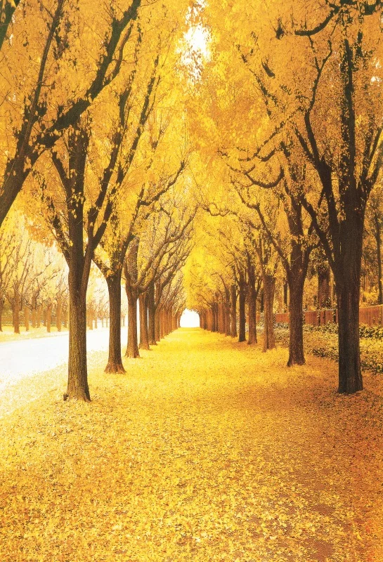Laeacco Autumn Scenic Park Passage Trees Photography Backdrop Fallen Leaves Photocall Photographic Background For Photo Studio
Laeacco Autumn Scenic Park Passage Trees Photography Backdrop Fallen Leaves Photocall Photographic Background For Photo Studio