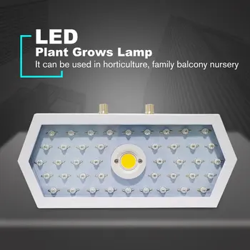 Plants LED Grow Light Full Spectrum 1000W Double Chip Red/Blue/UV/IR Long Hexagonal Light For Indoor Plants VEG BLOOM
Plants LED Grow Light Full Spectrum 1000W Double Chip Red/Blue/UV/IR Long Hexagonal Light For Indoor Plants VEG BLOOM