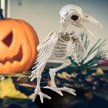 Animal Skeleton Halloween Decortaion Decor Bird Crow Moveable Creepy Crow Skeleton Lifelike Simulation Party Supplies
Animal Skeleton Halloween Decortaion Decor Bird Crow Moveable Creepy Crow Skeleton Lifelike Simulation Party Supplies