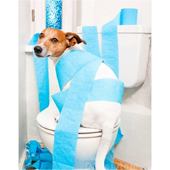 5D Diamond Embroidery Toilet dog pattern DIY Diamond Painting cross stitch animal picture Mosaic kit Needlework Home Decor Craft
5D Diamond Embroidery Toilet dog pattern DIY Diamond Painting cross stitch animal picture Mosaic kit Needlework Home Decor Craft