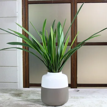 Real Touch Cymbidium Hyridus Orchid Plants Plastic Felt Green Orchids Leaves Home Vase Garden Decoration 
Real Touch Cymbidium Hyridus Orchid Plants Plastic Felt Green Orchids Leaves Home Vase Garden Decoration