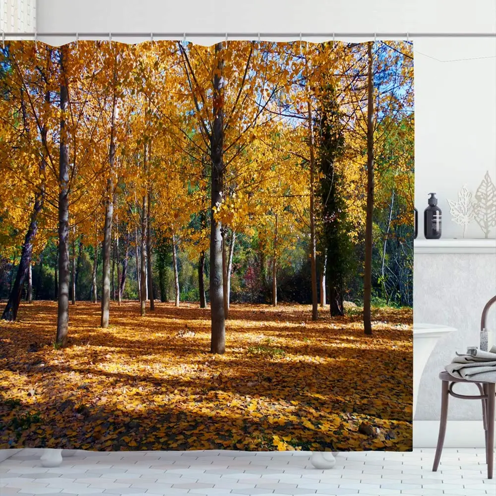 Shower Curtain Set with Hooks 72x72 Colorful Landscape Foliage Yellow Autumn Trees Scenic Red with Nature Color Parks Outdoor
Shower Curtain Set with Hooks 72x72 Colorful Landscape Foliage Yellow Autumn Trees Scenic Red with Nature Color Parks Outdoor