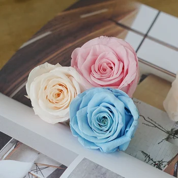 Domestic Mei Mr Zhang 4-5cm a | 8 Flower Loaded Class a Love Eternal DIY Material Car Glass Gift Box
Domestic Mei Mr Zhang 4-5cm a | 8 Flower Loaded Class a Love Eternal DIY Material Car Glass Gift Box