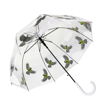 

SHOWERSMILE Transparent Umbrella Women Cage Umbrellas Big Long Handle Men Clear Umbrella Ladies Apollo Rain Umbrella Dot Animals