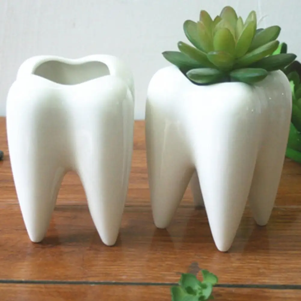 Innovative White Ceramic Tooth Shape Succulent Plants Flower Pot Modern Design Planter Basket Flower Vase Decor
Innovative White Ceramic Tooth Shape Succulent Plants Flower Pot Modern Design Planter Basket Flower Vase Decor