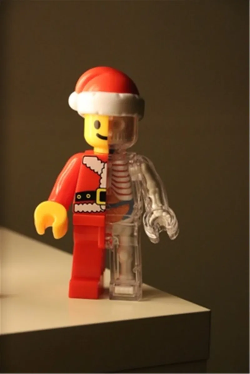 4D MASTER Artist JASON freeny Educational Assembled Christmas-Bricks People Transparent Skeletal Anatomy
4D MASTER Artist JASON freeny Educational Assembled Christmas-Bricks People Transparent Skeletal Anatomy