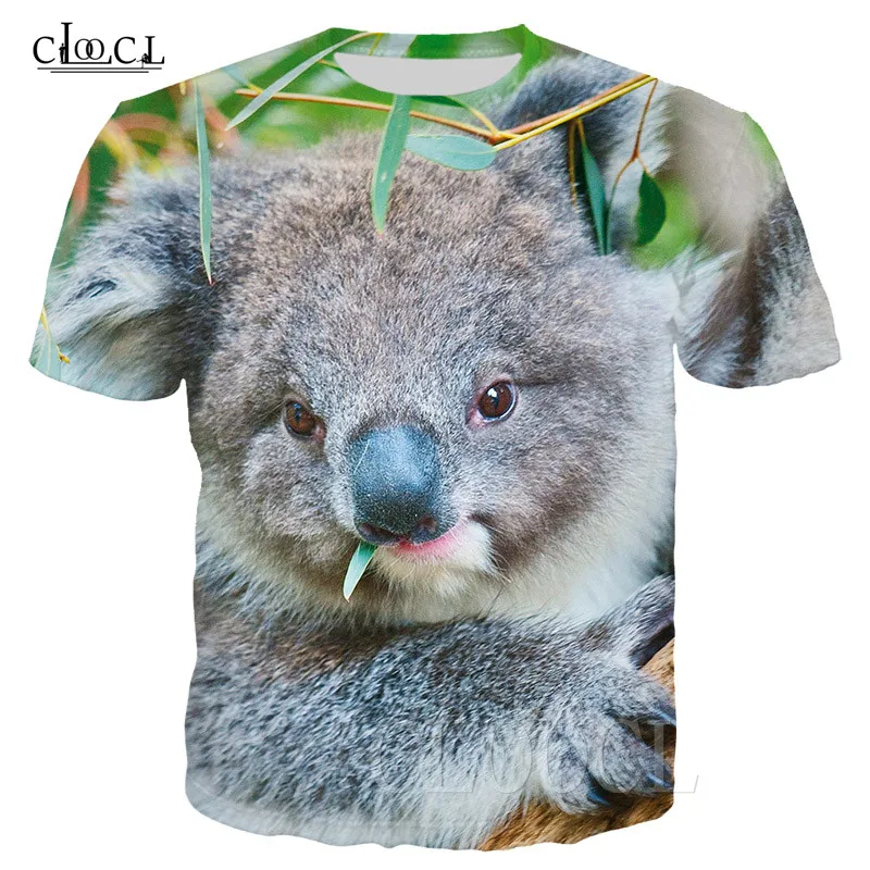 T Shirts (15)