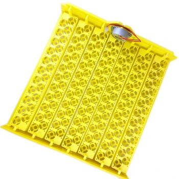 154 Eggs Quail Parrot Pigeon Small Bird Snake Hatcher Automatic Turn Incubator Trays 220V Turning Motors Farm Poultry Hatching D 
154 Eggs Quail Parrot Pigeon Small Bird Snake Hatcher Automatic Turn Incubator Trays 220V Turning Motors Farm Poultry Hatching D