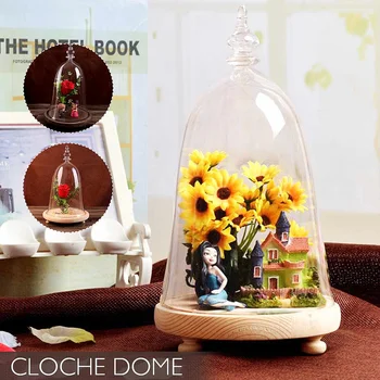 Tabletop Display Glass Dome Cloche Cover Decor Dry Flower Ornaments Handmade Decoration Craft Bell Jar Wood Black Color Base
Tabletop Display Glass Dome Cloche Cover Decor Dry Flower Ornaments Handmade Decoration Craft Bell Jar Wood Black Color Base