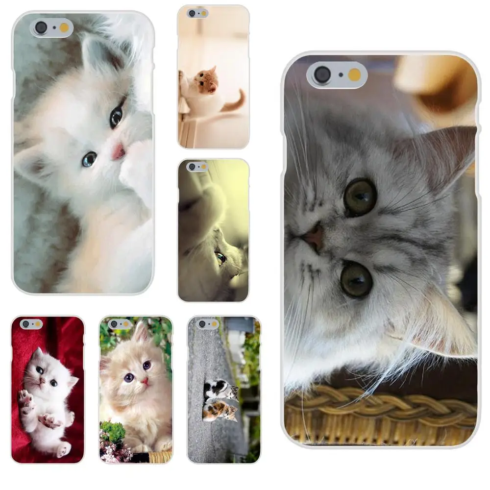 Soft Phone Cases For Galaxy Alpha Note 10 Pro A10 A20 A20E A30 A40 A50 A60 A70 A80 A90 M10 M20 M30 M40 Cute Cat Kitten
Soft Phone Cases For Galaxy Alpha Note 10 Pro A10 A20 A20E A30 A40 A50 A60 A70 A80 A90 M10 M20 M30 M40 Cute Cat Kitten