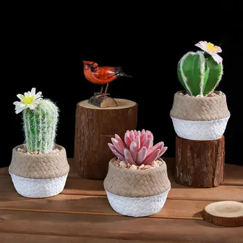 3Pcs Creative Square Cement Flowerpot Fake Bonsai Desktop Ornament Decoration for Home Office(Coloured Glaze Temple Red + Aloe + 
3Pcs Creative Square Cement Flowerpot Fake Bonsai Desktop Ornament Decoration for Home Office(Coloured Glaze Temple Red + Aloe +