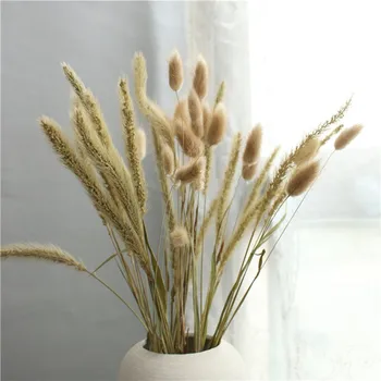 50 Stems Mixed Dried Flower Bunny Tail Natural Plants Floral Rabbit Grass Bouquet Home Decoration
50 Stems Mixed Dried Flower Bunny Tail Natural Plants Floral Rabbit Grass Bouquet Home Decoration