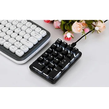 Portable Gaming Keypad, Mechanical Gaming Keyboard with 21 Compact Keys Single-Handed Keypad Blue Switches
Portable Gaming Keypad, Mechanical Gaming Keyboard with 21 Compact Keys Single-Handed Keypad Blue Switches