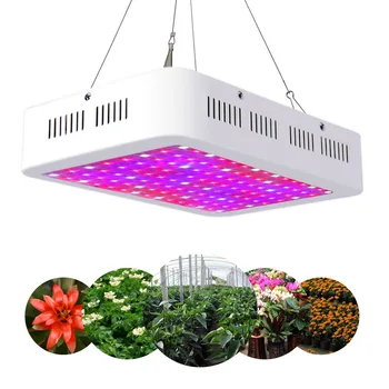 LED growth lamp double-core 100W plant lamp AC85-265V high-power plant lamp greenhouse light-supplementing lamp 
LED growth lamp double-core 100W plant lamp AC85-265V high-power plant lamp greenhouse light-supplementing lamp