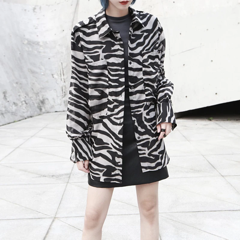 TWOTWINSTYLE Print Hit Color Women's Shirts Long Sleeve Lapel Collar Korean Female Shirt Blouse Female 2019 Autumn Fashion New (4).jpg