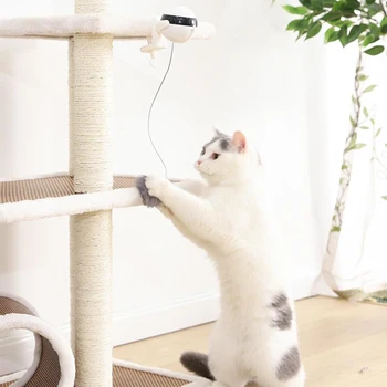 Funny Cat Teasing Toy Lifting Ball Electric Trembling Rotating Interactive Puzzle Pet Toy 
Funny Cat Teasing Toy Lifting Ball Electric Trembling Rotating Interactive Puzzle Pet Toy