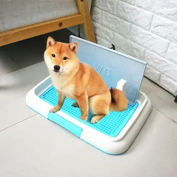 Pet toilet dog toilet Thai medium dog automatic potty urinal artifact flushing pet supplies 
Pet toilet dog toilet Thai medium dog automatic potty urinal artifact flushing pet supplies