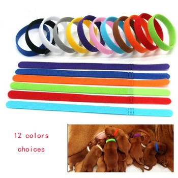 12 Pcs/Set Adjustable Nylon Small Pet Dog Collars Puppy Newborn Pets Identify Collars Kitten Necklace Whelping Puppy Collars
12 Pcs/Set Adjustable Nylon Small Pet Dog Collars Puppy Newborn Pets Identify Collars Kitten Necklace Whelping Puppy Collars